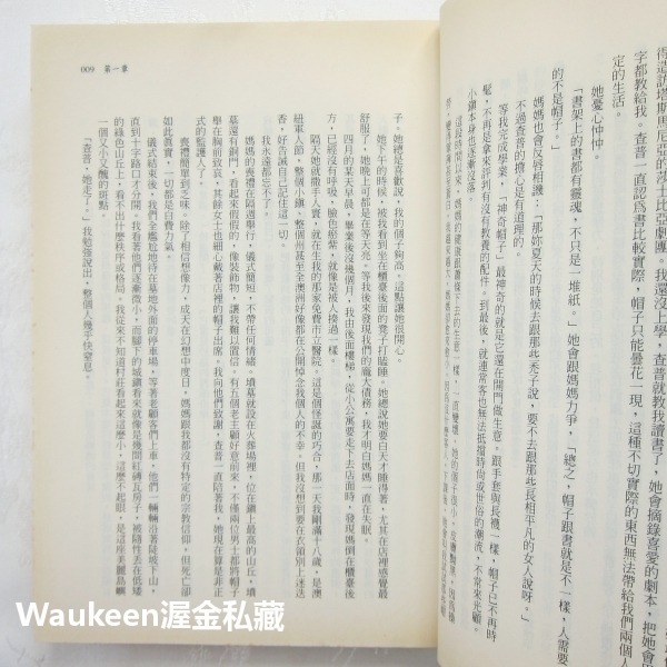 書中謎 The Secret of Lost Things 雪瑞登海伊 Sheridan Hay 時報出版 歐美翻譯文學-細節圖7