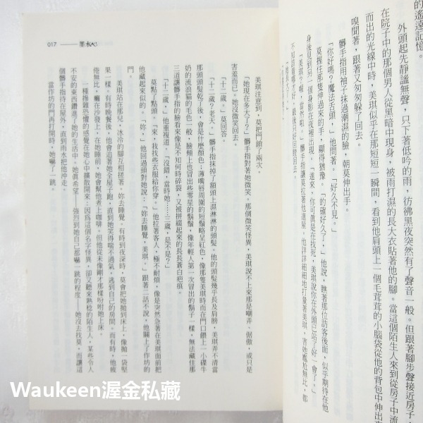 墨水心 Inkheart 柯奈莉亞馮克 Cornelia Funke 科幻奇幻 電影原著小說 布蘭登費雪 伊麗莎班奈特-細節圖8