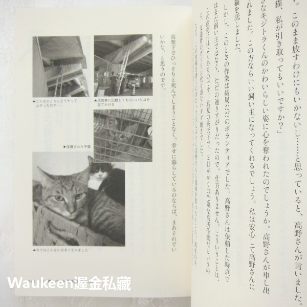 寵物偵探看到了 ペット探偵は見た 藤原博史 Hiroshi Fujiwara 扶桑社 動物走失 搜尋技巧 案例 貓狗雪貂-細節圖8