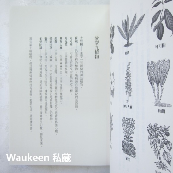 溫室女子和欲望九植物 Hothouse Flower Desire 瑪格博文 Margot Berwin 圓神出版社-細節圖7