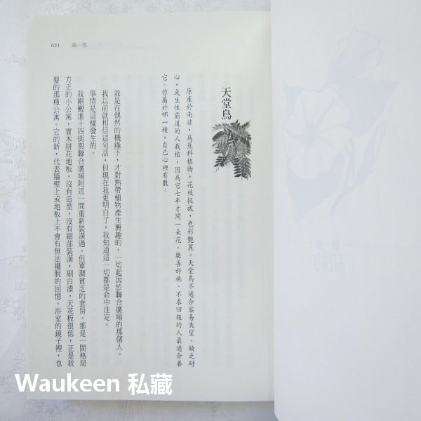 溫室女子和欲望九植物 Hothouse Flower Desire 瑪格博文 Margot Berwin 圓神出版社-細節圖9