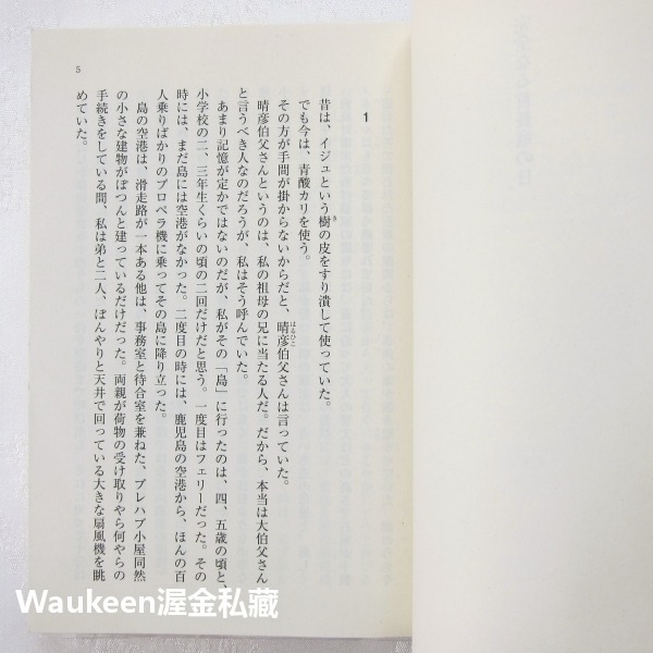 完美的蛇頸龍之日 完全なる首長竜の日 乾綠郎 乾緑郎 忍者外傳作者 寶島社 小泉今日子 佐藤健 綾瀨遙 中谷美紀 小田切-細節圖4