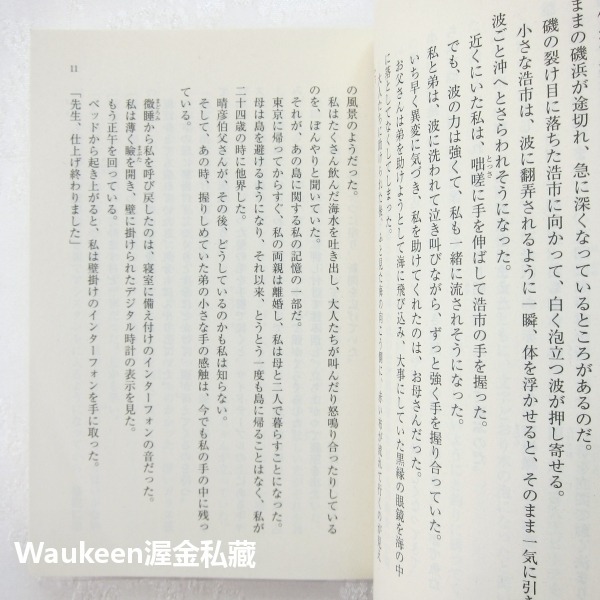 完美的蛇頸龍之日 完全なる首長竜の日 乾綠郎 乾緑郎 忍者外傳作者 寶島社 小泉今日子 佐藤健 綾瀨遙 中谷美紀 小田切-細節圖6