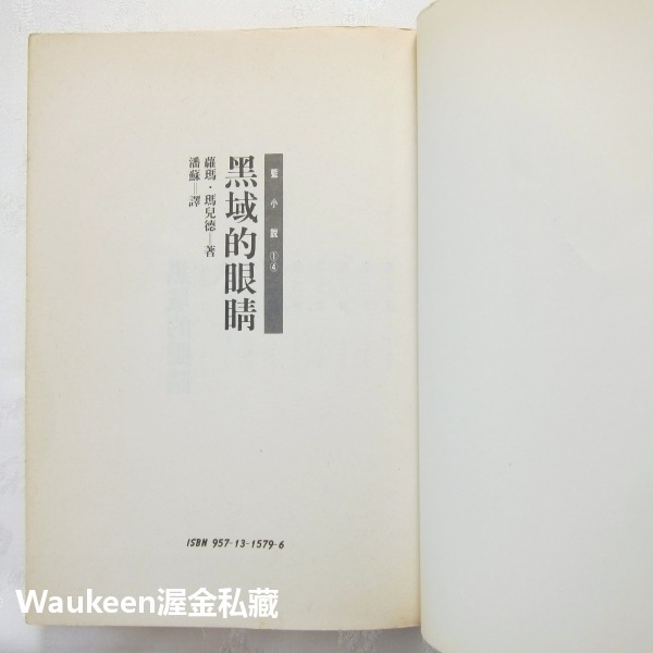 黑域的眼睛 An Eye for Dark Places 蘿瑪瑪兒德 Norma Marder 時報出版 奇幻小說 歐美-細節圖2