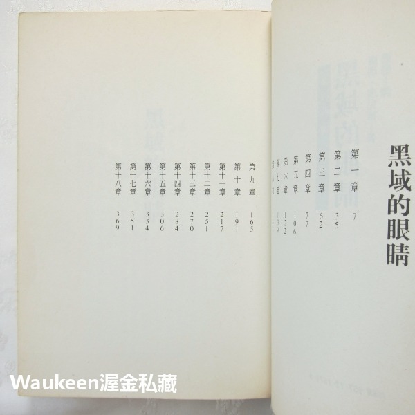 黑域的眼睛 An Eye for Dark Places 蘿瑪瑪兒德 Norma Marder 時報出版 奇幻小說 歐美-細節圖3