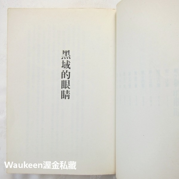 黑域的眼睛 An Eye for Dark Places 蘿瑪瑪兒德 Norma Marder 時報出版 奇幻小說 歐美-細節圖4