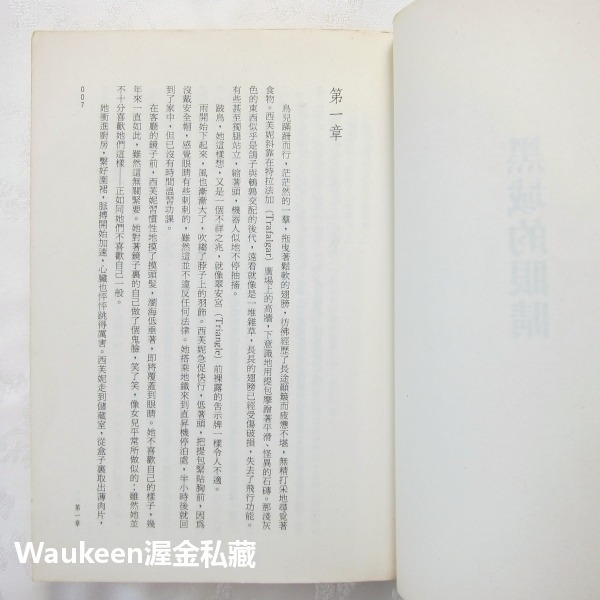 黑域的眼睛 An Eye for Dark Places 蘿瑪瑪兒德 Norma Marder 時報出版 奇幻小說 歐美-細節圖5