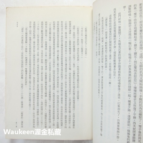 黑域的眼睛 An Eye for Dark Places 蘿瑪瑪兒德 Norma Marder 時報出版 奇幻小說 歐美-細節圖6