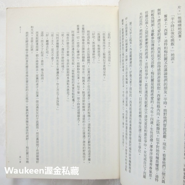 黑域的眼睛 An Eye for Dark Places 蘿瑪瑪兒德 Norma Marder 時報出版 奇幻小說 歐美-細節圖7