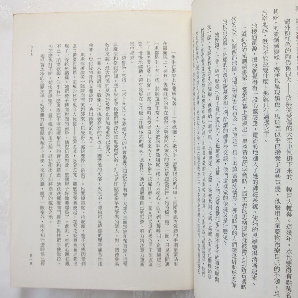 黑域的眼睛 An Eye for Dark Places 蘿瑪瑪兒德 Norma Marder 時報出版 奇幻小說 歐美-細節圖8