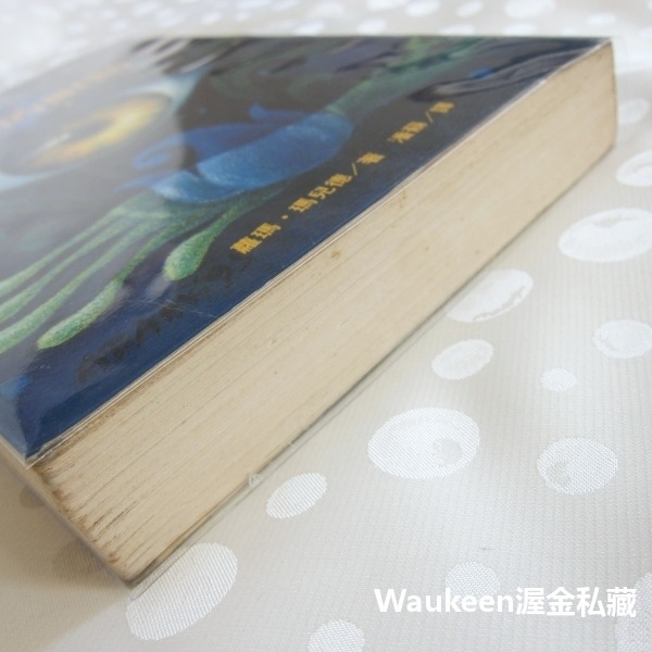 黑域的眼睛 An Eye for Dark Places 蘿瑪瑪兒德 Norma Marder 時報出版 奇幻小說 歐美-細節圖11