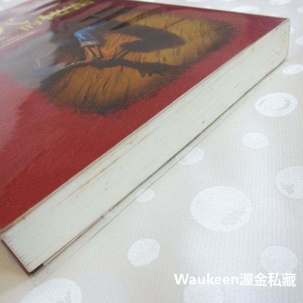 挖！墓穴的秘密 Grave Secrets 凱絲萊克斯 Kathy Reichs 皇冠出版社 偵探懸疑驚悚-細節圖11