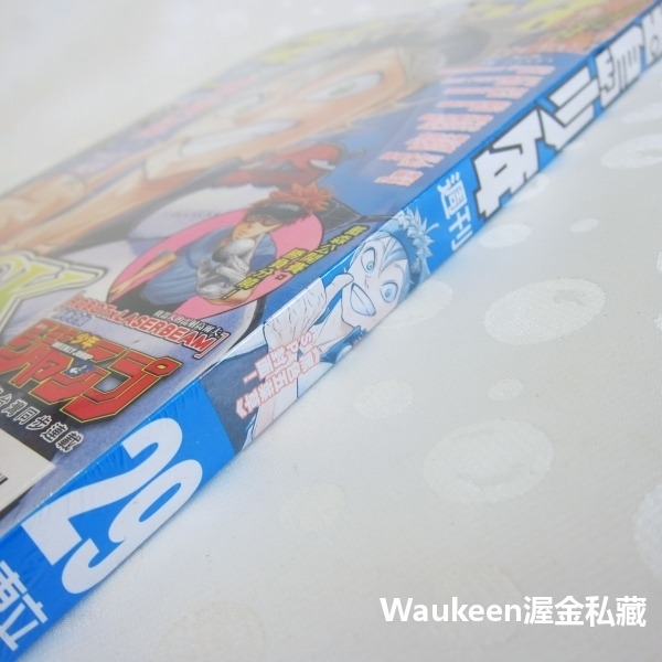 寶島少年週刊 FORMOSA YOUTH 29 2018 1231 七龍珠超 黑色五葉草 航海王 流星花園 Next S-細節圖2