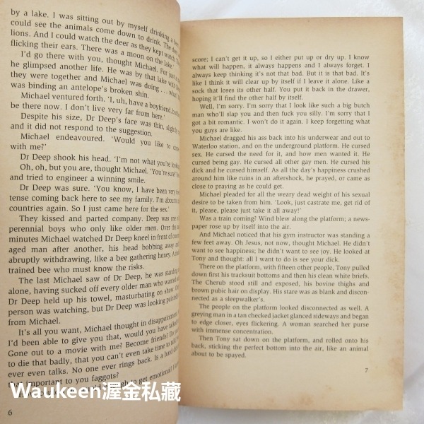 慾壑難填 Lust Four letter Infinite possibilities Geoff Ryman 253-細節圖7