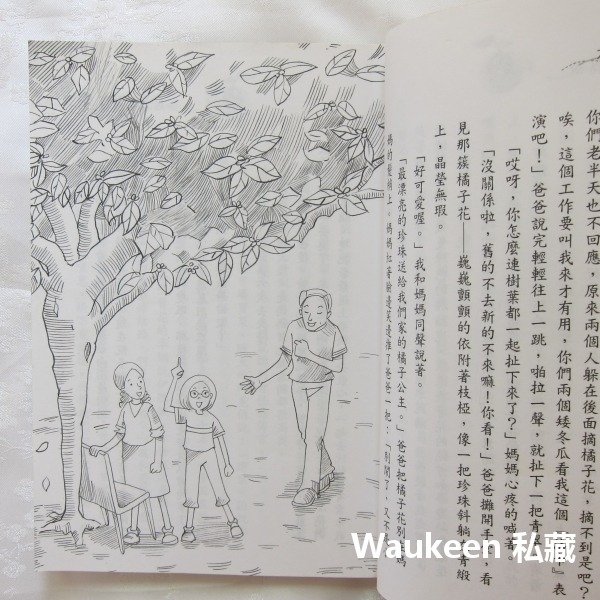 剝開橘子以後 劉美瑤 青少年文學 社會與家庭 溫馨勵志 九歌出版社 兒童讀物-細節圖6