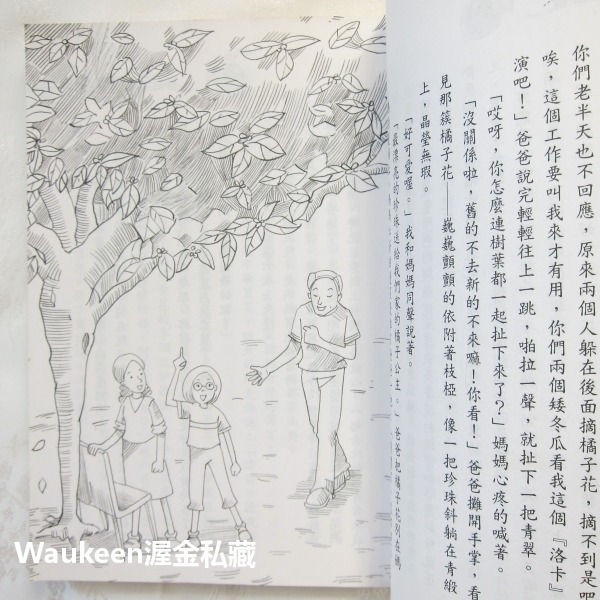 剝開橘子以後 劉美瑤 青少年文學 社會與家庭 溫馨勵志 九歌出版社 兒童讀物-細節圖7