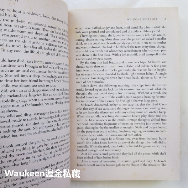 孤哀子 The Lone Warrior 狄尼絲羅賽媞 Denise Rossetti 光明盜賊作者 死靈法師 Necr-細節圖4
