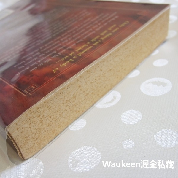 孤哀子 The Lone Warrior 狄尼絲羅賽媞 Denise Rossetti 光明盜賊作者 死靈法師 Necr-細節圖8