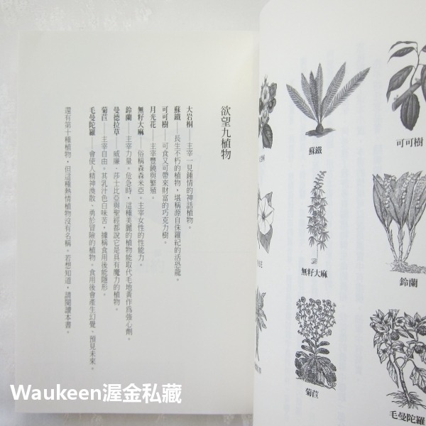 溫室女子和欲望九植物 Hothouse Flower Desire 瑪格博文 Margot Berwin 圓神出版社-細節圖7