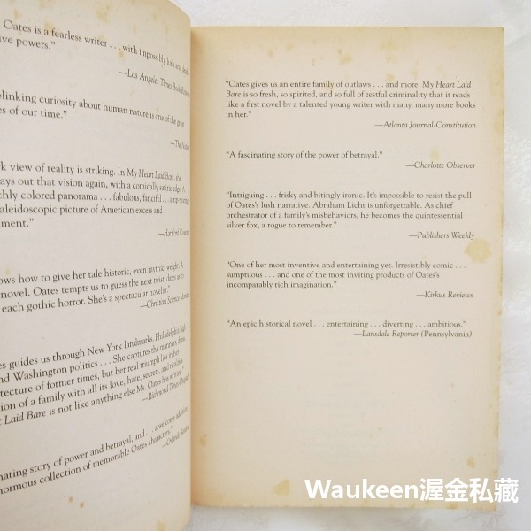我心坦然 My Heart Laid Bare 喬伊斯卡洛奧茲 Joyce Carol Oates 大嘴巴和醜女孩作者-細節圖3