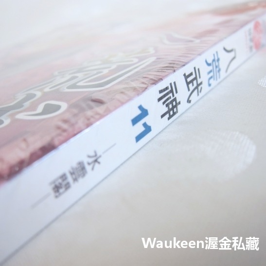 八荒武神 11 水雲閣 邵小白 銘顯文化 大皇錘 天蠍域 神霄五陽訣 雪柔 武俠奇幻小說-細節圖2