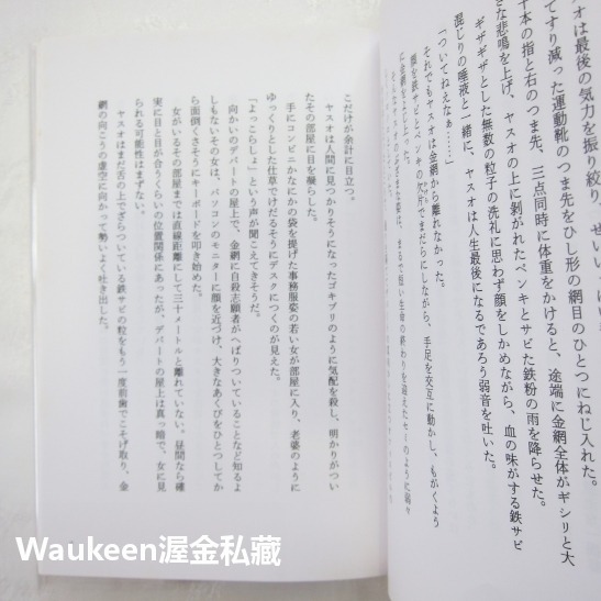 KAGEROU 齋藤智裕 Tomohiro Saito 水嶋斐呂 水嶋ヒロ 失業 YASUO 心臟摘除 日本文學-細節圖6