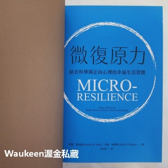微復原力 Micro-Resilience 邦妮聖約翰 Bonnie John 亞倫海恩斯 Allen Haines 天-細節圖3