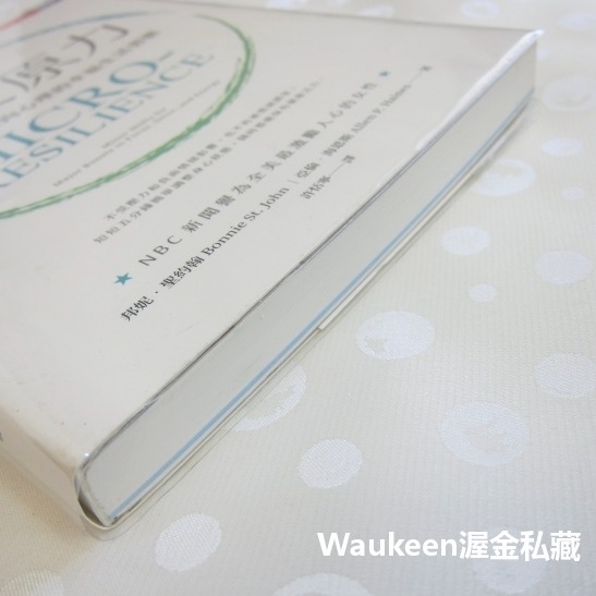 微復原力 Micro-Resilience 邦妮聖約翰 Bonnie John 亞倫海恩斯 Allen Haines 天-細節圖11