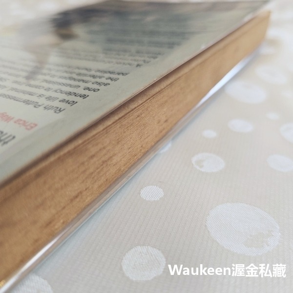 帕特麥斯檔案 The Puttermesser Papers 辛西雅奧齊克 Cynthia Ozick 人造人魔像 Go-細節圖10