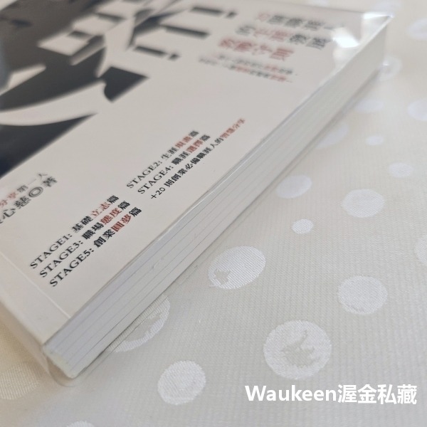 大器 20個職涯人的生涯發展教戰守則 張心慈 布克文化 職場工作 溝通協調 心理勵志-細節圖9