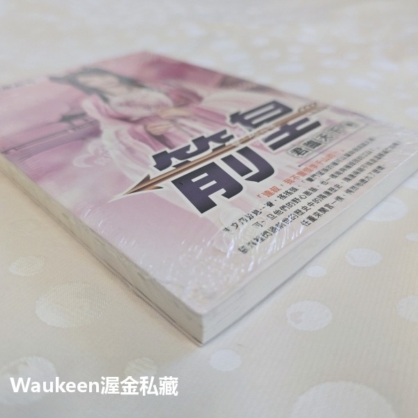 箭皇 11 大風起兮 君臨天下 銘顯文化 穿越時空 西北 羌人 江淮府 箭術 浪漫愛情 武俠小說-細節圖3