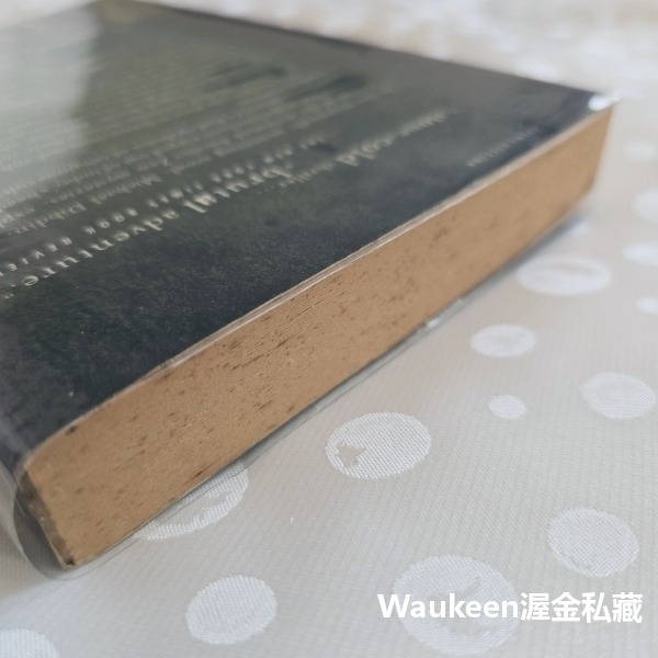 幽魂 Dark Specter 麥可狄布丁 Michael Dibdin 神探任恩 Zen 金匕首獎得主 BBC電視影集-細節圖9