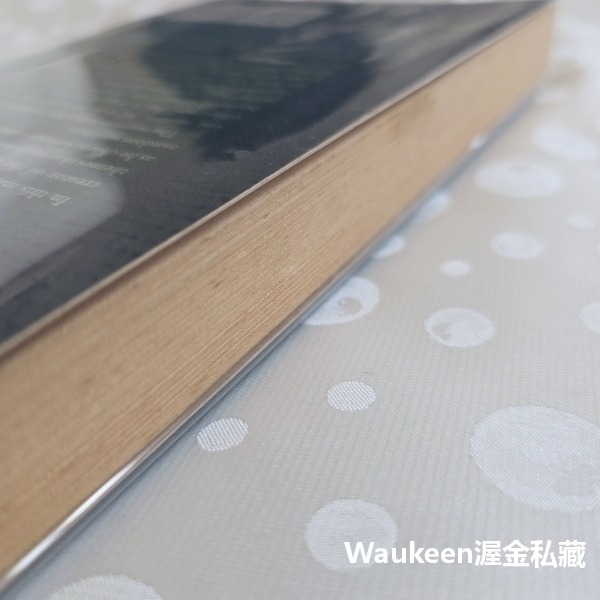 幽魂 Dark Specter 麥可狄布丁 Michael Dibdin 神探任恩 Zen 金匕首獎得主 BBC電視影集-細節圖10