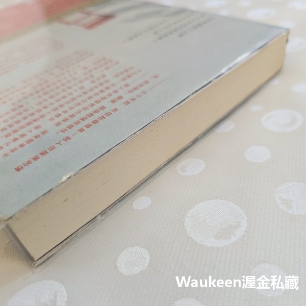 庇里牛斯山的城堡 The Castle in the Pyrenees 喬斯坦賈德 Jostein Gaarder 挪威-細節圖9