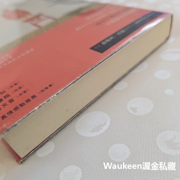 庇里牛斯山的城堡 The Castle in the Pyrenees 喬斯坦賈德 Jostein Gaarder 挪威-細節圖11