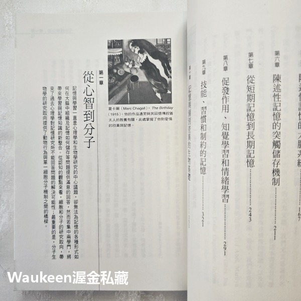 透視記憶 Memory: Memory From Mind to Molecules 史奎爾 Larry Squire-細節圖7
