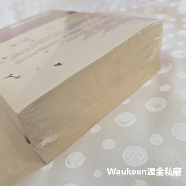 最好的時光【全】 The Best of Times 潘妮文森茲 Penny Vincenzi 麥田出版社 溫馨療育 歐-細節圖5