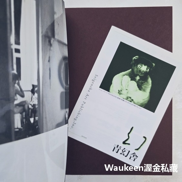 走進索爾雷特的世界 All about Saul Leiter ソール．ライターのすべて 人物 日常生活 日文攝影寫真-細節圖2