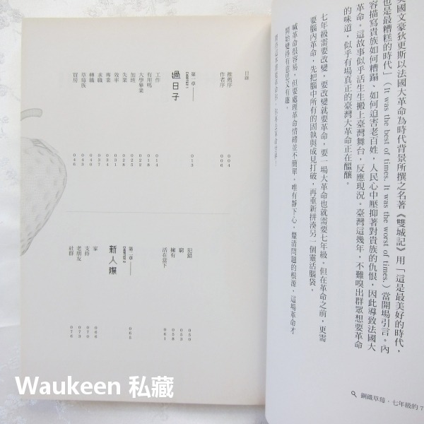 鋼鐵草莓 七年級的 70 個關鍵字 藍白拖 時報出版 工作 另一半 年輕人 文學散文-細節圖5
