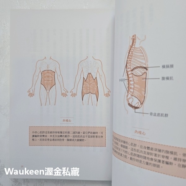 神奇的內核心呼吸 不靠藥物，來場喚醒自癒力的呼吸革命 陳慕純 吳妍瑩 聯合文學出版社 醫療保健養生-細節圖7