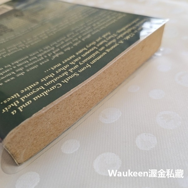 同一個天空下 Under the Same Sky 珍妮芙葛拉漢 Genevieve Graham 中世紀蘇格蘭高地 歷-細節圖9