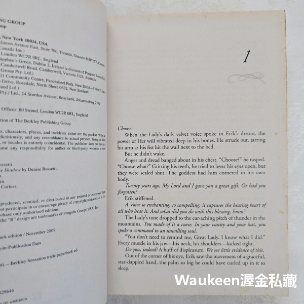 光明盜賊 Thief of Light 狄尼絲羅賽媞 Denise Rossetti 孤哀子作者 羅曼史 奇幻小說-細節圖3
