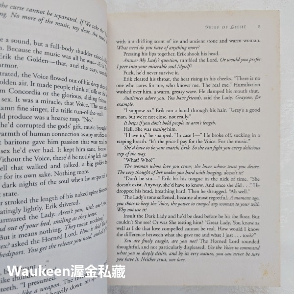 光明盜賊 Thief of Light 狄尼絲羅賽媞 Denise Rossetti 孤哀子作者 羅曼史 奇幻小說-細節圖5