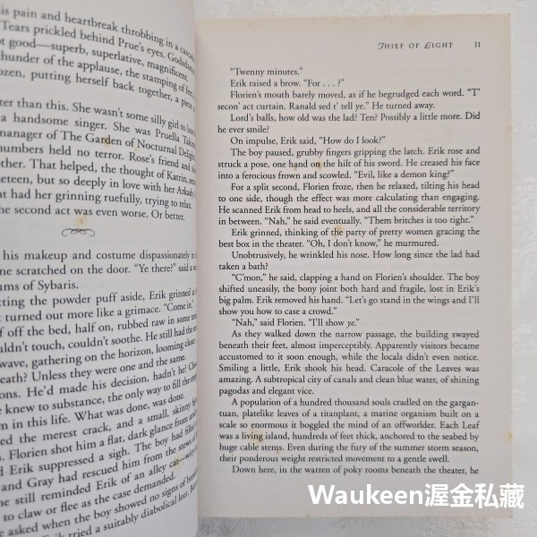 光明盜賊 Thief of Light 狄尼絲羅賽媞 Denise Rossetti 孤哀子作者 羅曼史 奇幻小說-細節圖7