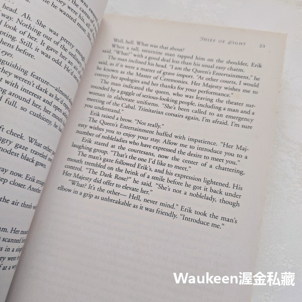 光明盜賊 Thief of Light 狄尼絲羅賽媞 Denise Rossetti 孤哀子作者 羅曼史 奇幻小說-細節圖8