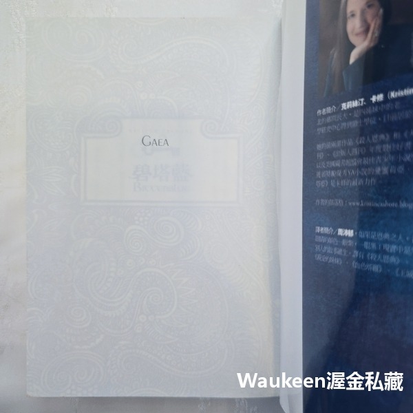 碧塔藍 BITTERBLUE 克莉絲汀卡修 Kristin Cashore 殺人恩典作者 蓋亞文化 奇幻小說-細節圖3