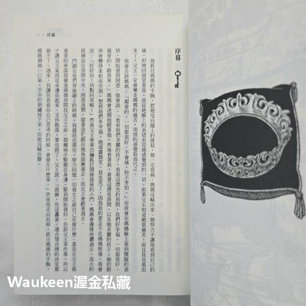 碧塔藍 BITTERBLUE 克莉絲汀卡修 Kristin Cashore 殺人恩典作者 蓋亞文化 奇幻小說-細節圖6
