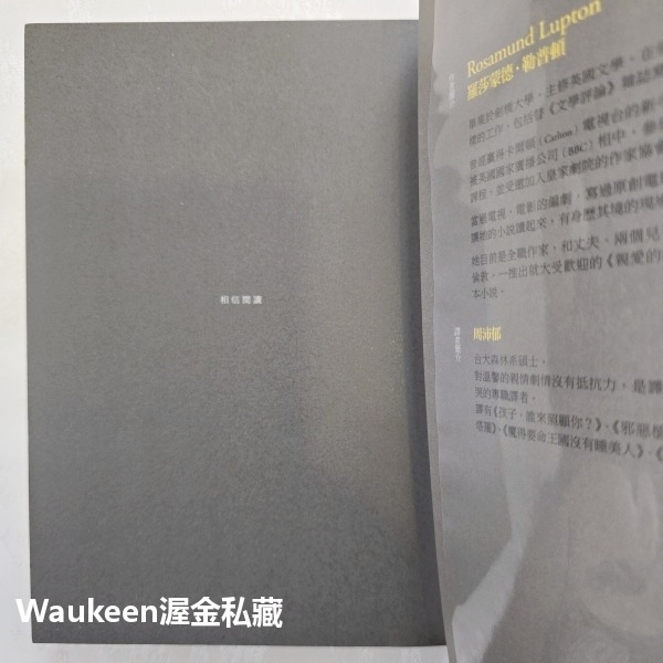 親愛的妹妹 Sister 羅莎蒙德勒普頓 Rosamund Lupton 天下文化 凶殺案 親情 偵探懸疑驚悚-細節圖2