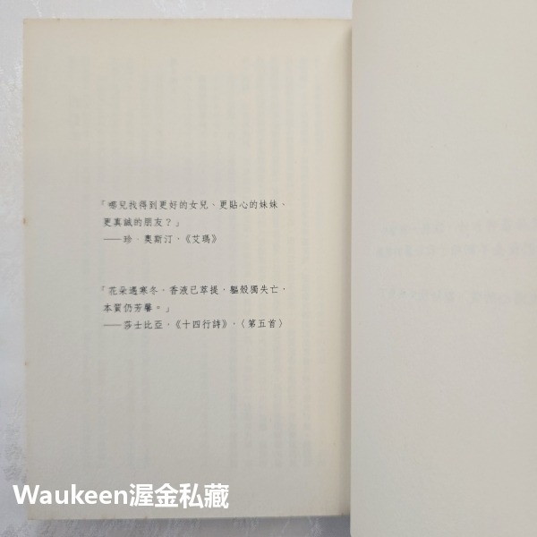 親愛的妹妹 Sister 羅莎蒙德勒普頓 Rosamund Lupton 天下文化 凶殺案 親情 偵探懸疑驚悚-細節圖6