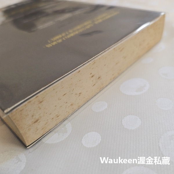 親愛的妹妹 Sister 羅莎蒙德勒普頓 Rosamund Lupton 天下文化 凶殺案 親情 偵探懸疑驚悚-細節圖9